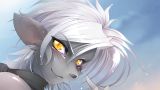 furry-wallpaper-[10].jpg